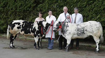 Jim and Laura Ervine best pair with sponsor Many Herbinson from the Meatjoint Antrim and Lisburn and judge Wilfred Lomas